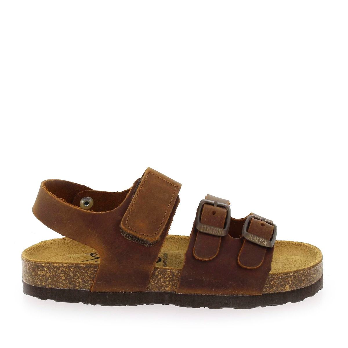 Plakton  PYTON - Marron