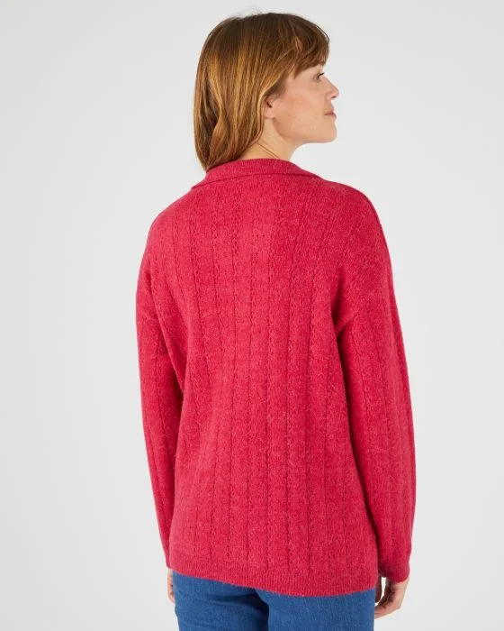 Pull col polo mélange alpaga