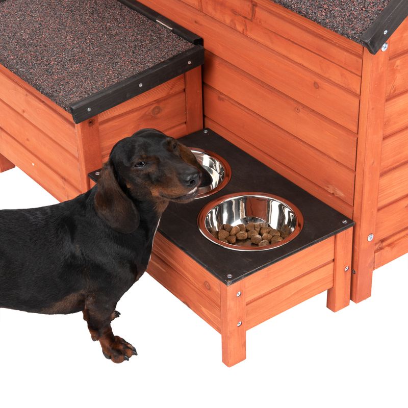 Hundehütte Jackson zu TOP-Preisen
