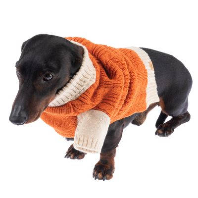 TIAKI Hundepullover Padded Knit