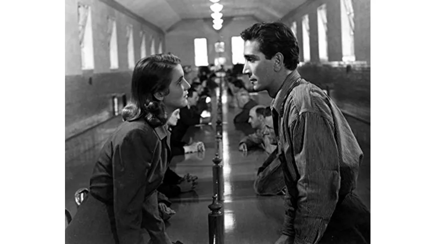Film Noir - The Dark Side of the Screen  [3 DVDs]