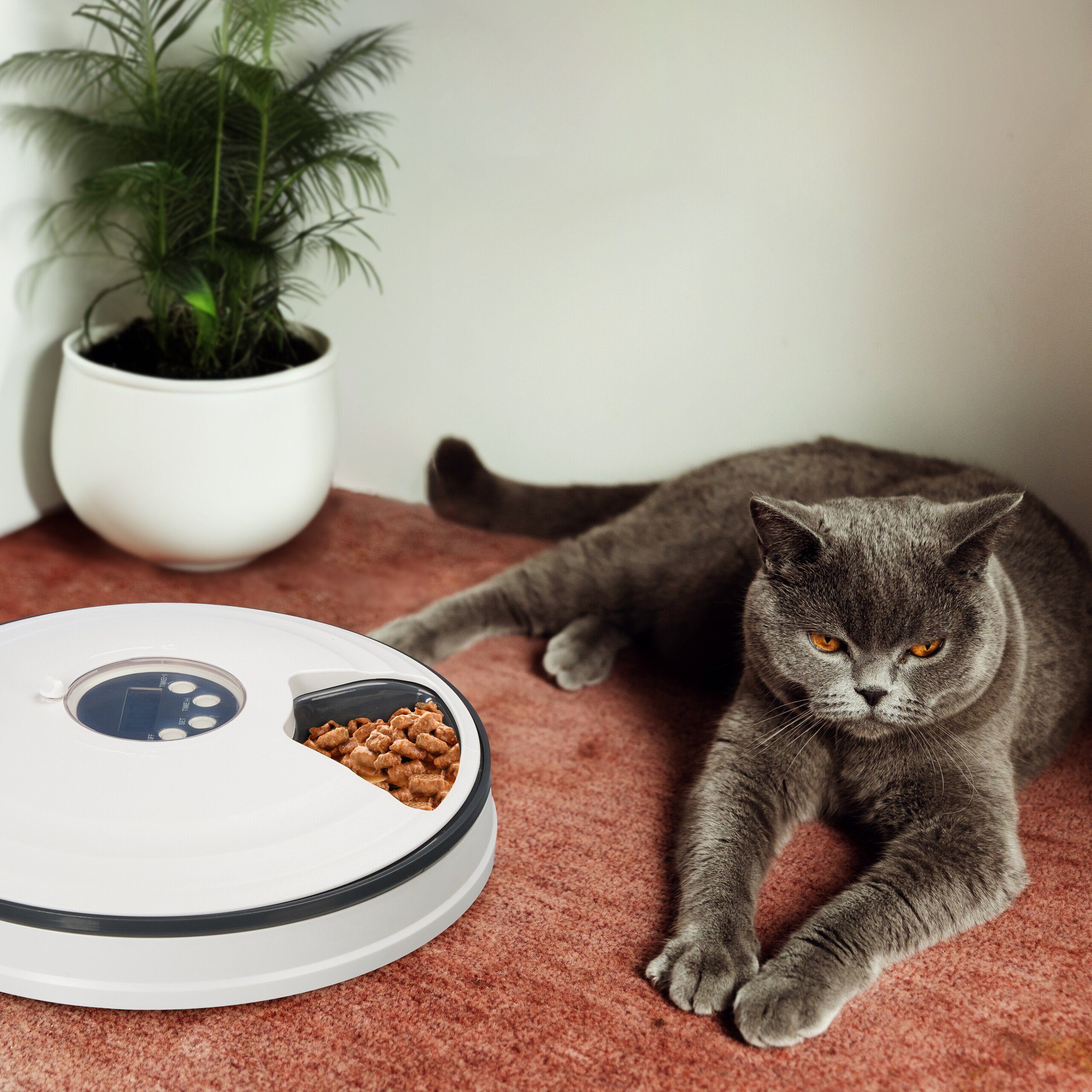 relaxdays Katzen-Futterautomat Futterautomat für Katzen