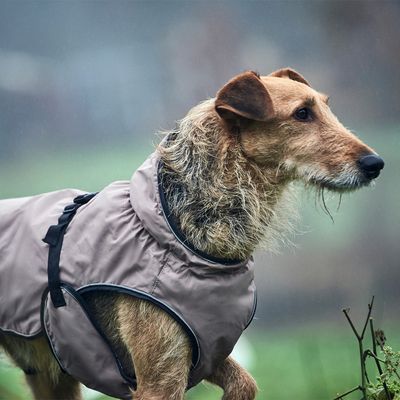 HUNTER Hundemantel Uppsala