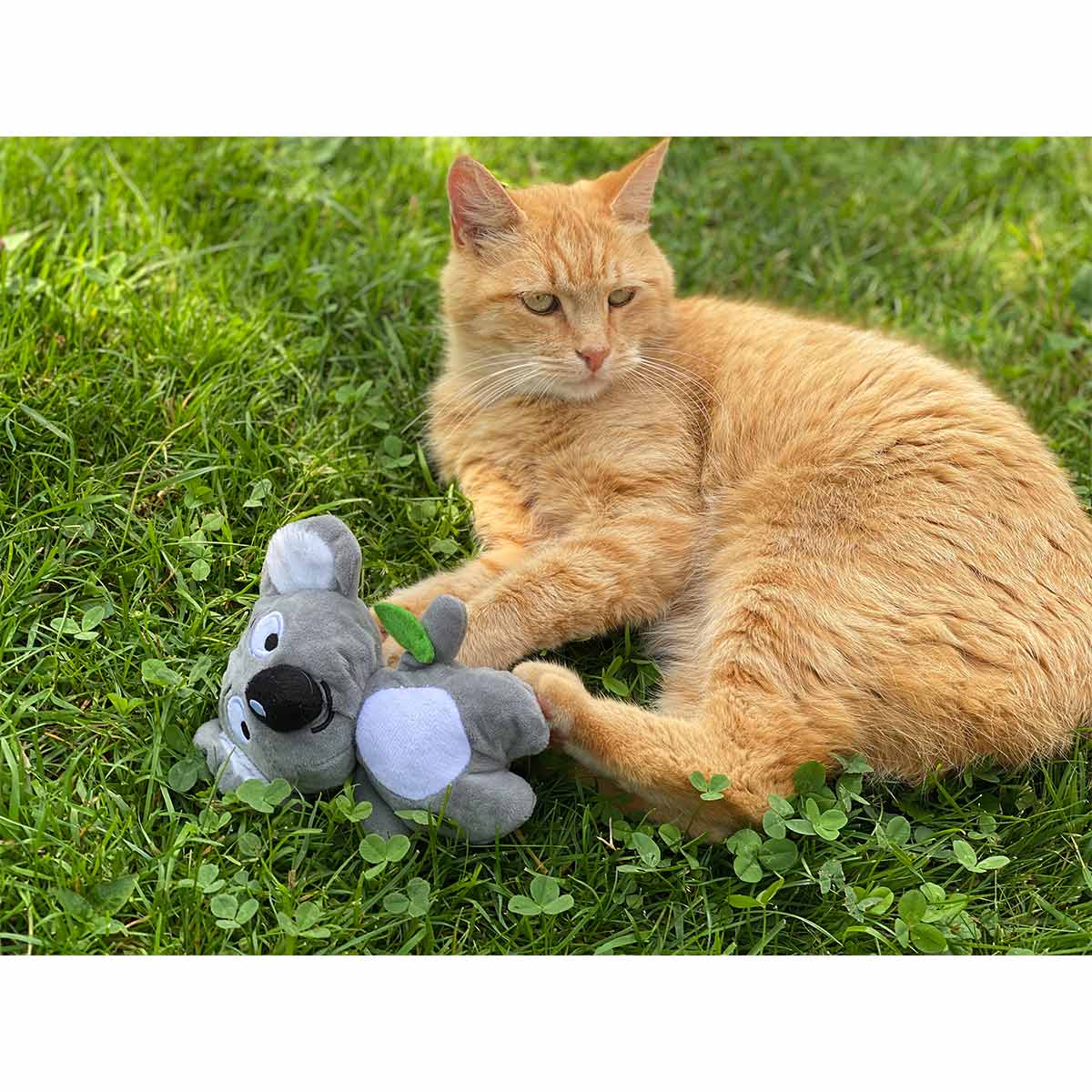 Aumüller Katzenspielzeug Koalabär Jack kaufen