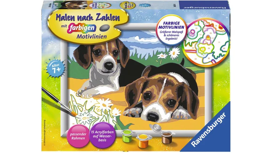 Ravensburger Beschäftigung - Malen nach Zahlen mit farbigen Motivlinien - Jack Russel Welpen