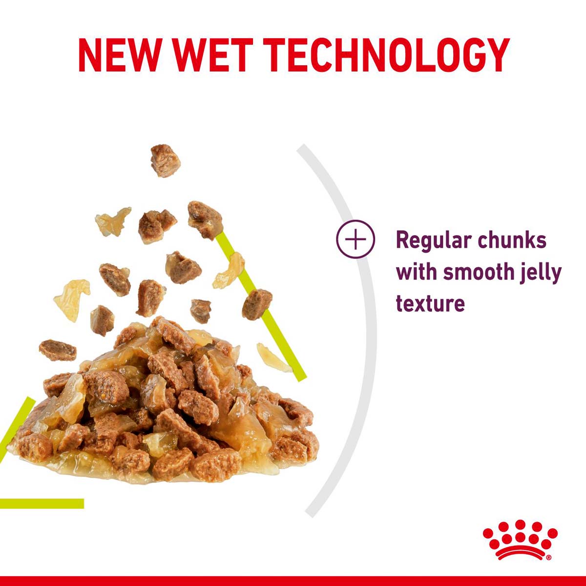 Royal Canin Sensory Smell Jelly günstig kaufen bei ZooRoyal