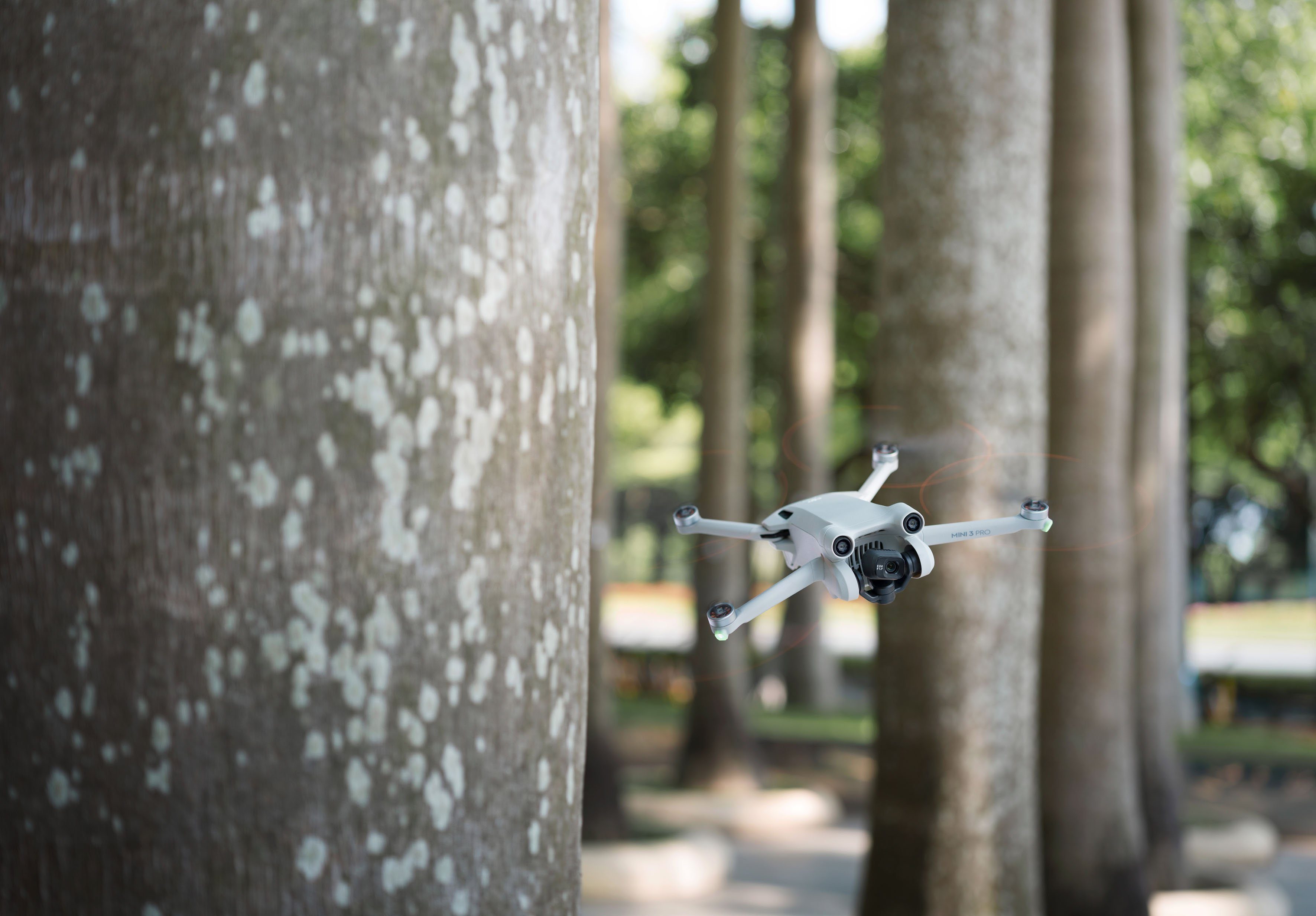DJI DJI Mini 3 Pro (DJI RC-N1) Drohne (1080p Full HD, Mini 3 Pro Fly More Kit unter Art. 97085663 bestellbar)