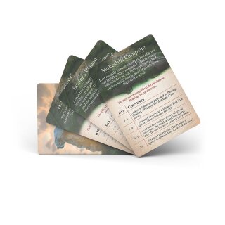 Objects of Intrigue: Wilderlands (EN)