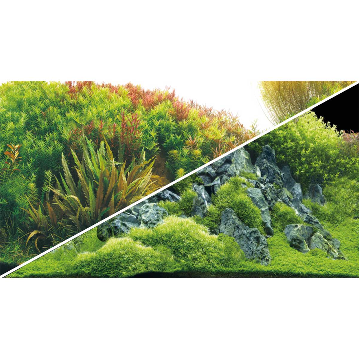 Hobby Aquarium Fotorückwand River / Rocks kaufen