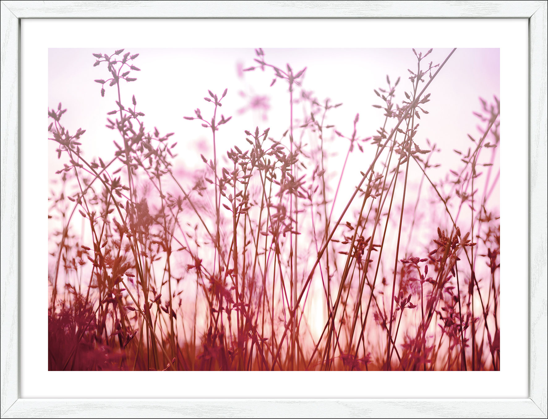 Pro ArtKunstdruck gerahmt 32.5x42.5cm