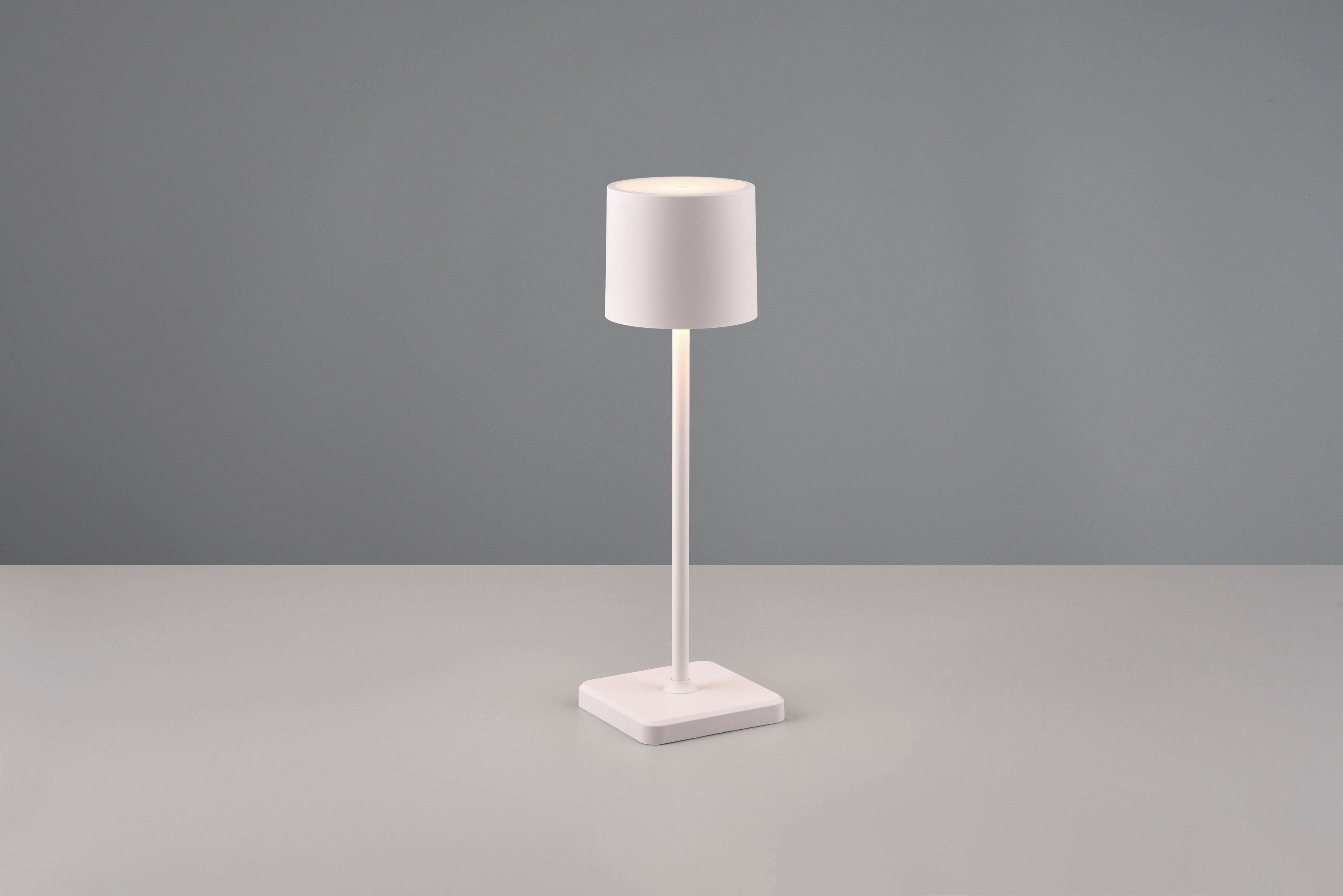 TRIO Leuchten LED Außen-Tischleuchte Fernandez, Dimmfunktion, USB-Ladefunktion, LED fest integriert, Farbwechsler, warmweiß - kaltweiß, Garten Akku Tischlampe USB Ladestation dimmbar Lichtfarbe einstellbar