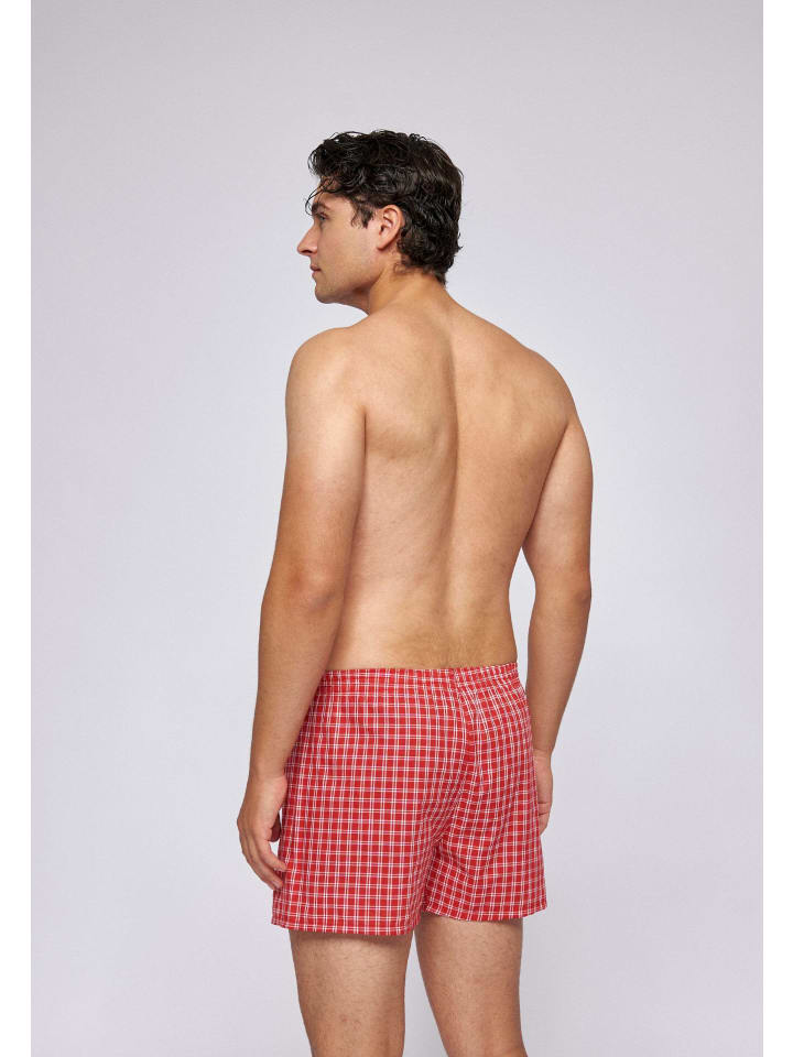SNOCKS American Woven Boxershorts aus Bio-Baumwolle 3 Stück in Small Check günstig kaufen