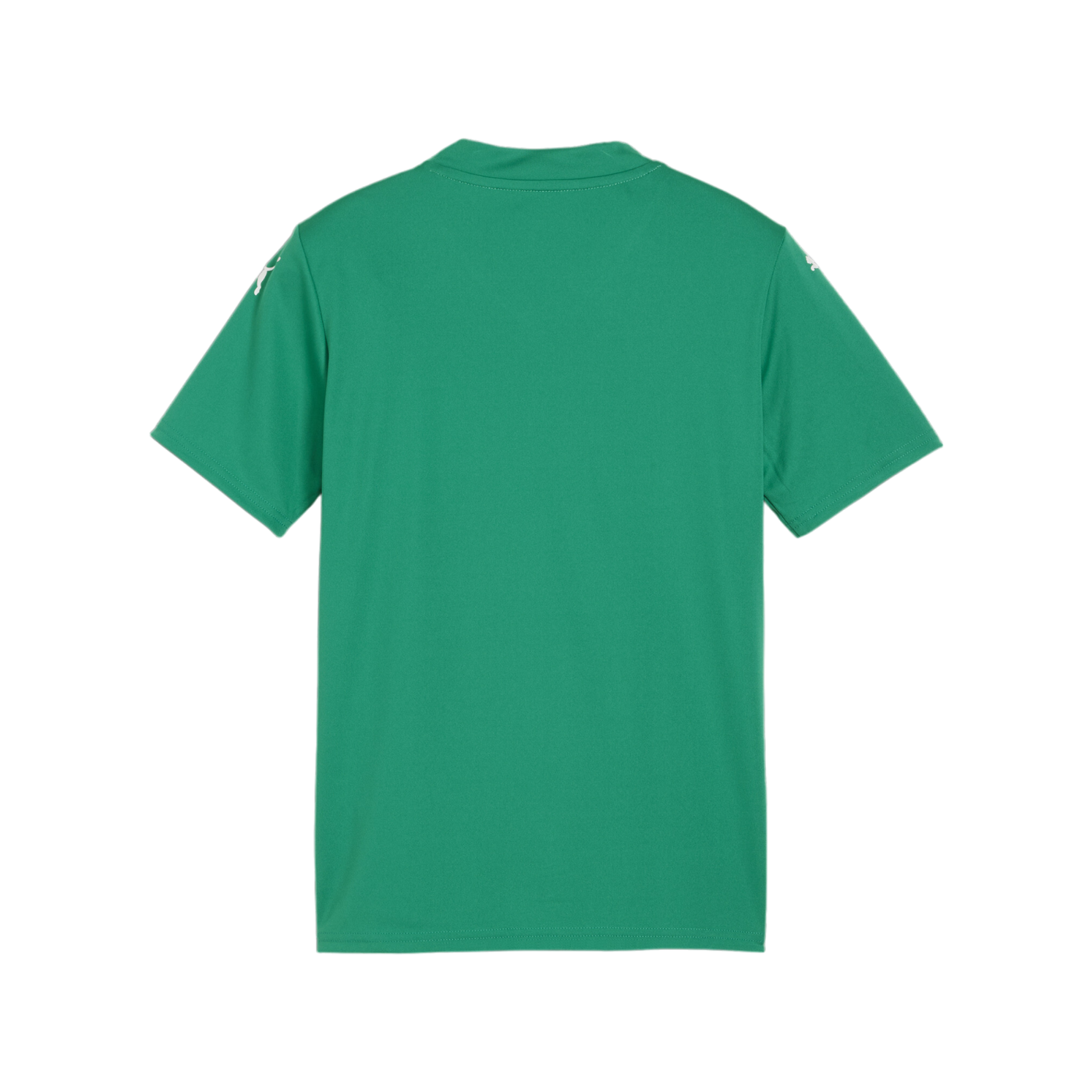 PUMA teamGLORY Trikot Kids Grün Weiss Grün F05