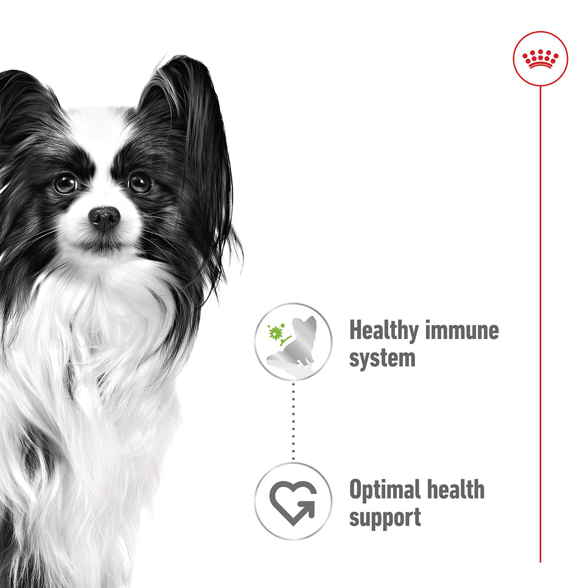 Royal Canin SHN X-Small Adult Gravy günstig kaufen bei ZooRoyal