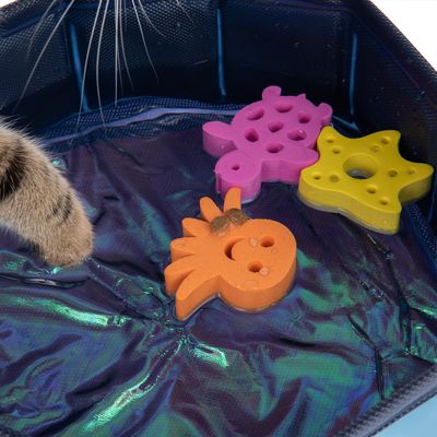 Kitty Pool mit schwimmfähigem Spielzeug
