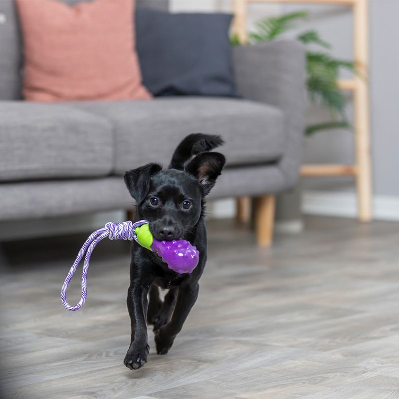 Trixie Hundespielzeug Aubergine am Seil zu TOP-Preisen | bitiba %