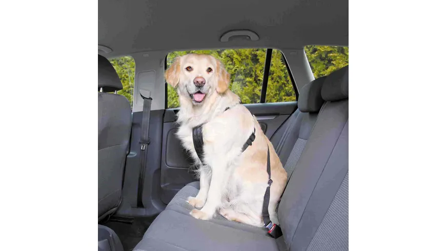 Trixie Auto-Sicherheitsgeschirr schwarz M 50-70 cm Hundezubehör