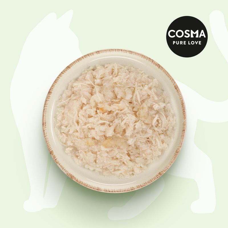 Sparpaket Cosma Asia in Jelly 24 x 85 g zu TOP-Preisen