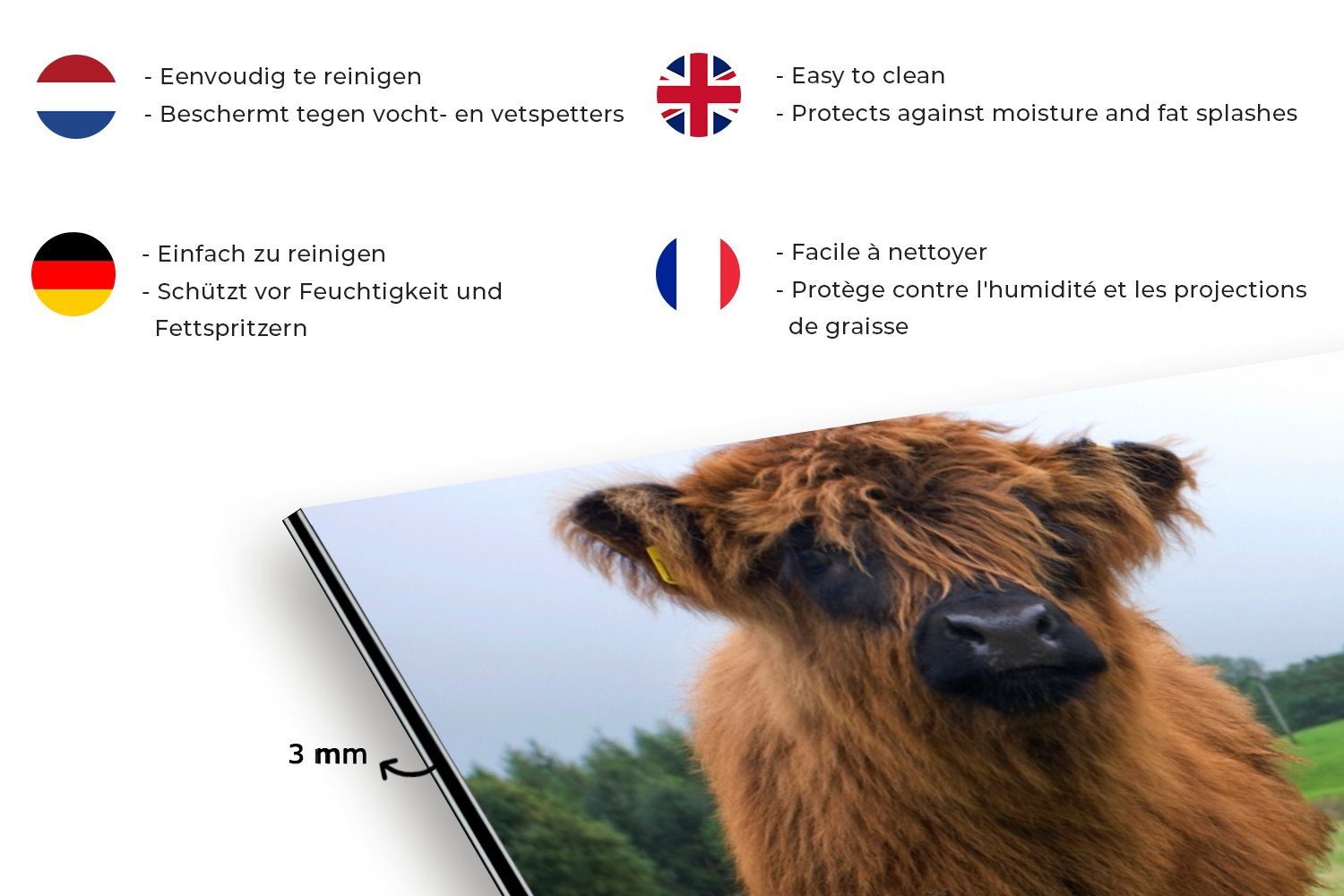 MuchoWow Küchenrückwand Schottische Highlander - Kühe - Natur - Grün - Gras, (1-tlg), 60x30 cm, Wandschutz, gegen Fett und Schmutzflecken für Küchen