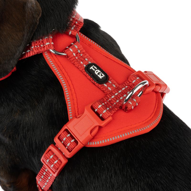 TIAKI Geschirr Neoprene, rot zu TOP-Preisen