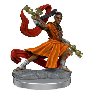 D&D Frameworks: Elf Monk Male
