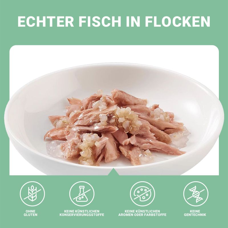Schesir Jelly Pouch 6 x 85 g zu TOP-Preisen