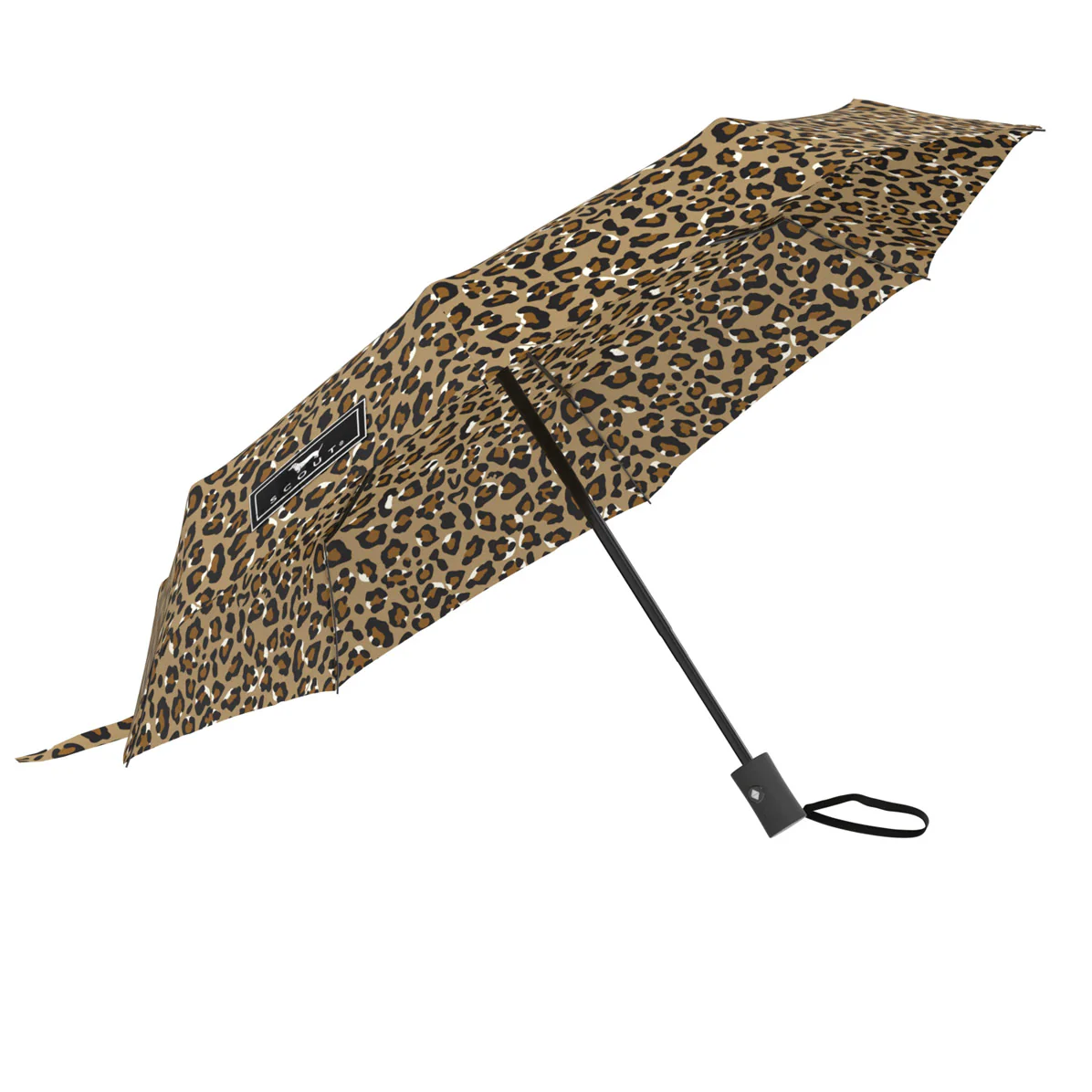 Umbrella High and Dry