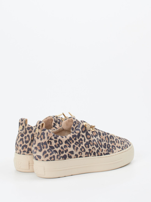 Sneaker-16633200005 Paul Green