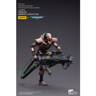 Warhammer 40k Actionfigur: Necrons - Szarekhan Dynasty Immortals with Tesla Carbine (2er-Pack)