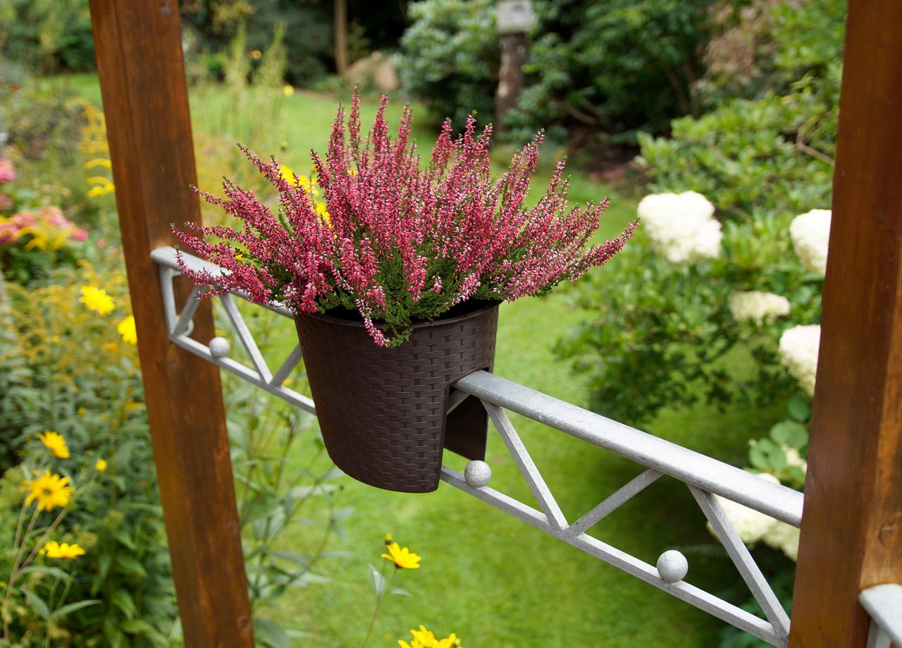 Powertec Garden Geländer Pflanztopf - Braun