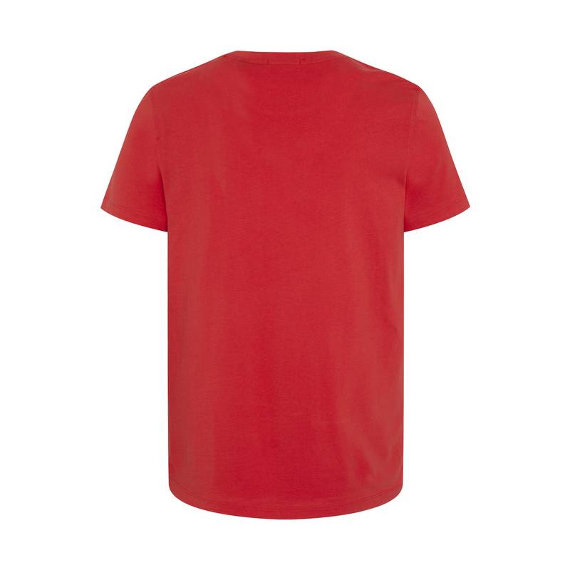 Chiemsee T-Shirt T-Shirt Herren