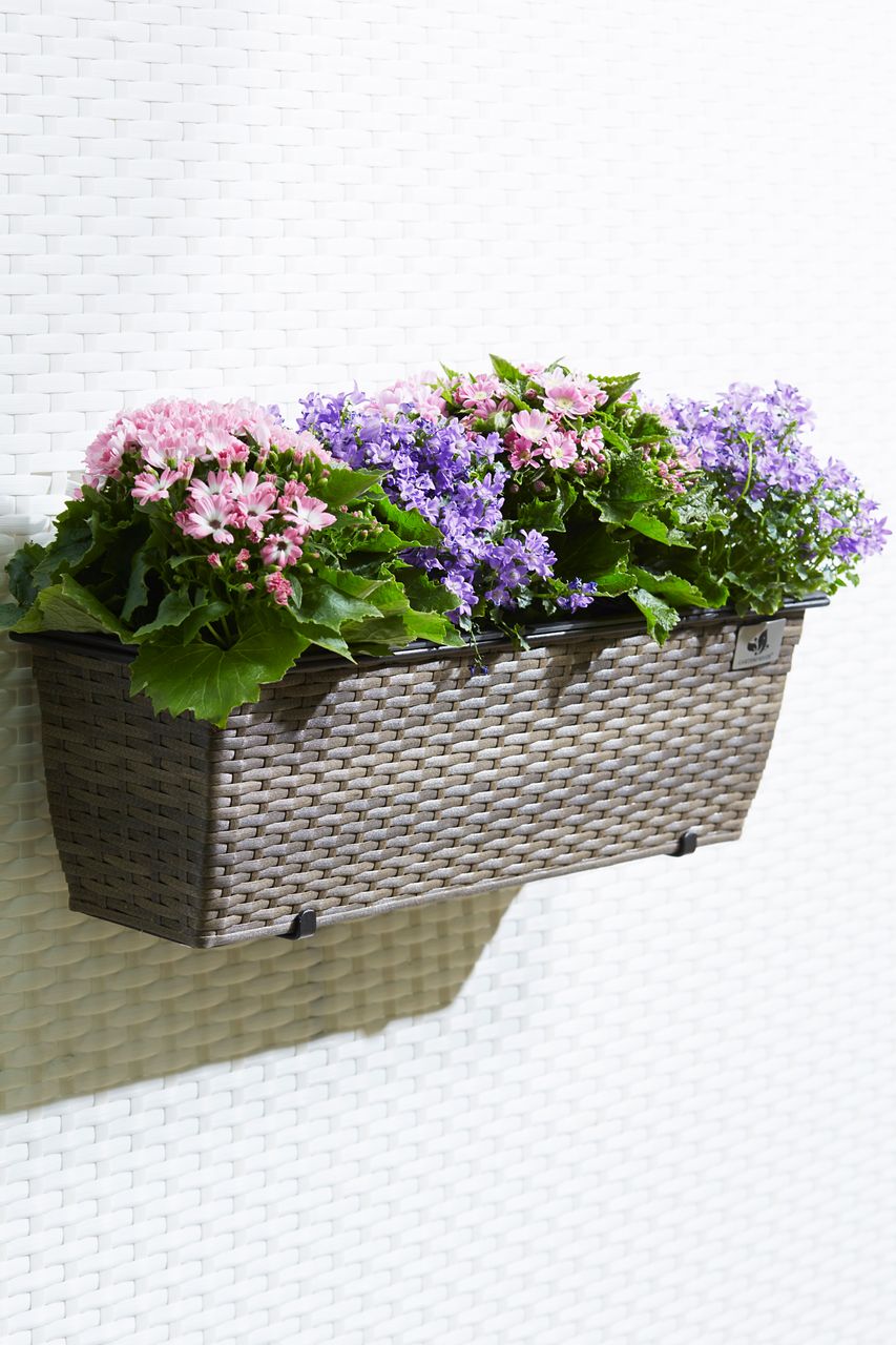 Weles Polyrattan Balkonkasten inkl. Aufhängung, 60 x 19 x 18 cm, mit Bewässerungssystem, cappuccino