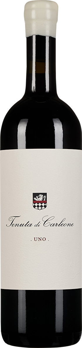 Tenuta di Carleone Uno 2020