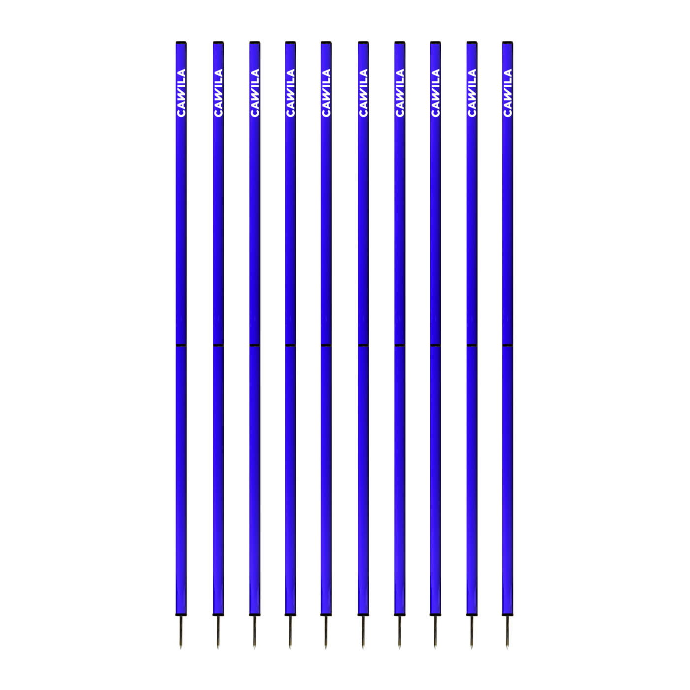 Cawila Academy Slalomstangen 170cm im 10er Set | 33mmx170cm | Blau