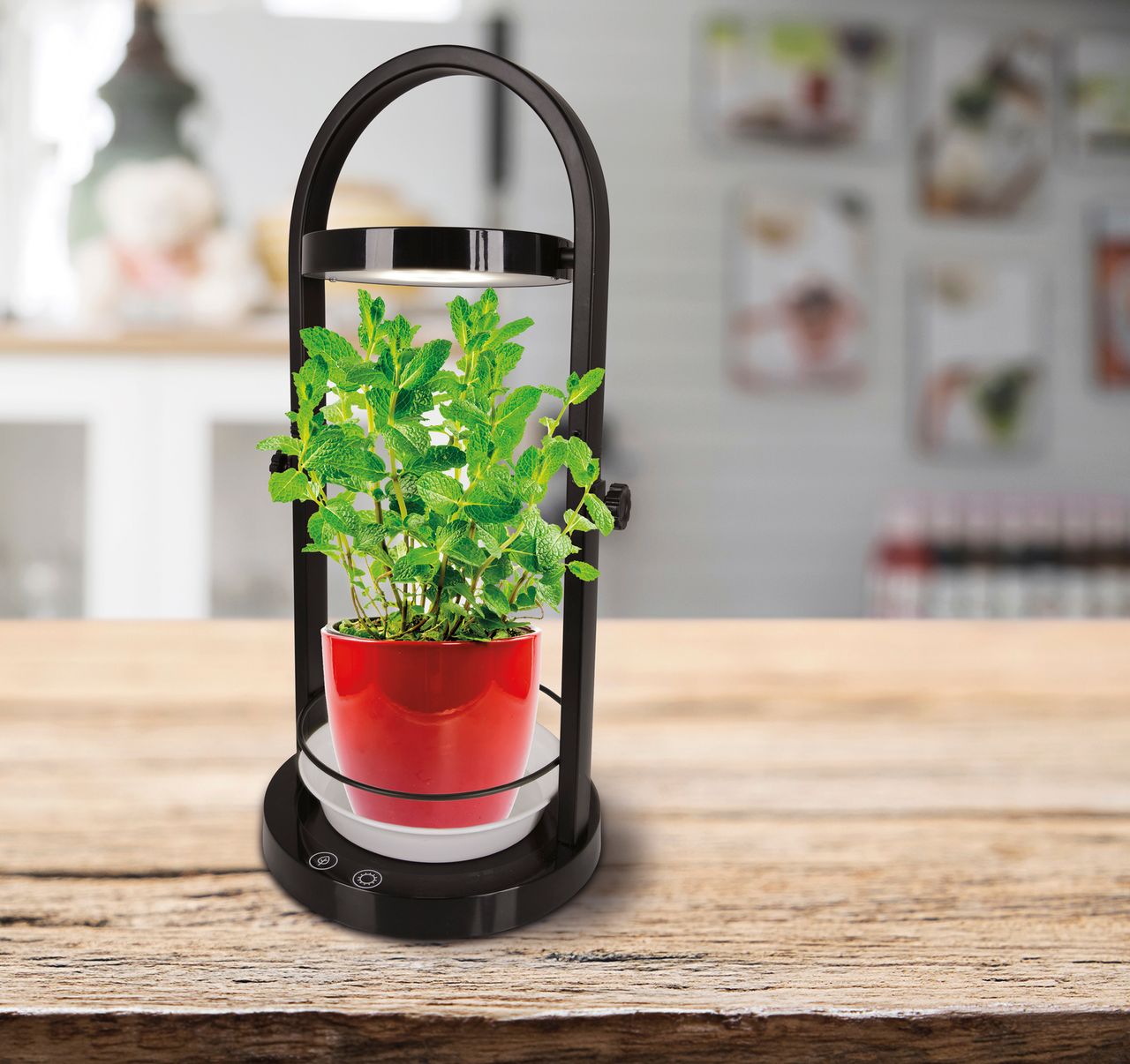 Näve Leuchten LED Pflanzen-Tischleuchte h:53,5cm