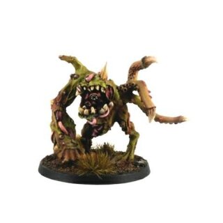 Morbid Spawn