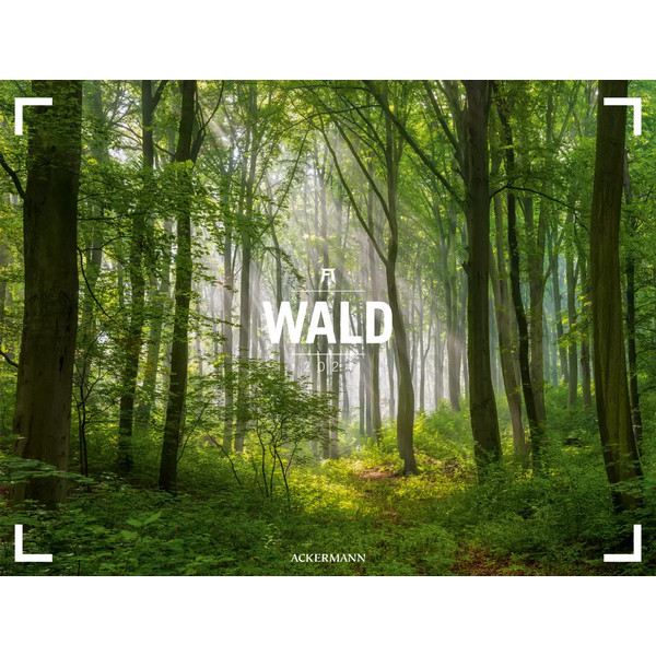 WALD - ACKERMANN GALLERY KALENDER 2024 - Kalender