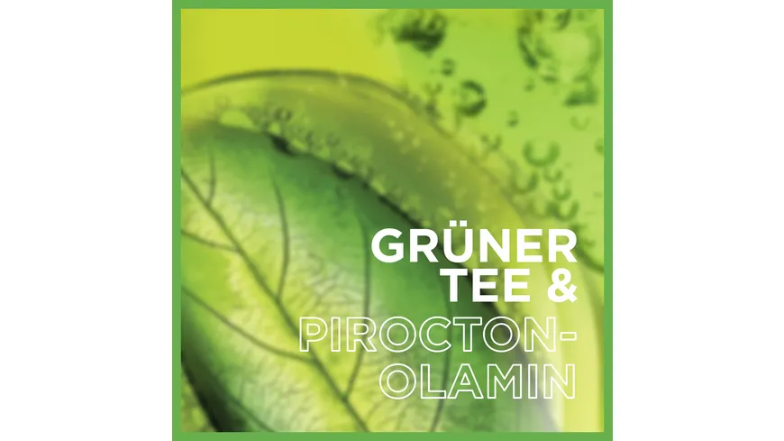 Garnier Fructis Shampoo Anti Schuppen Grüner Tee&Zink Pyrition 300 ml
