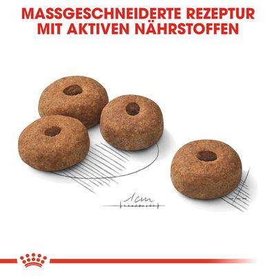 Royal Canin Maxi Sterilised