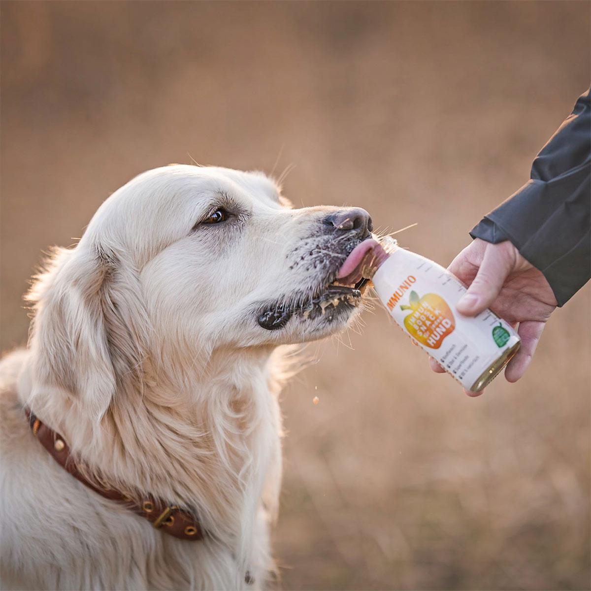 SmoothieDog Immunio günstig kaufen bei ZooRoyal