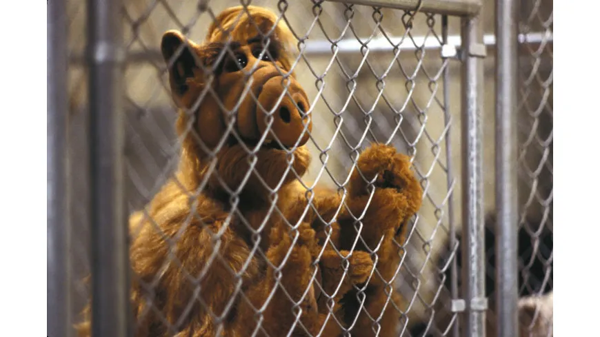 Alf - Staffel 1  [4 DVDs]