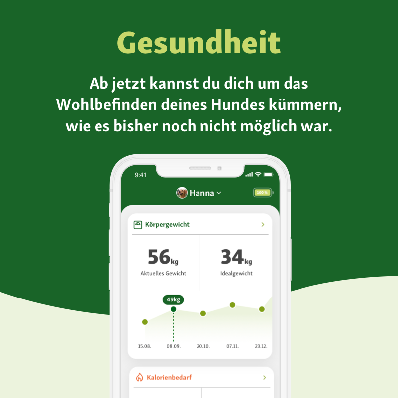 Fressnapf GPS Tracker & Zubehör Fressnapf Refurb-GPS-Tracker für Hunde (1. Generation ohne Taschenlampe/Schlafmodus)