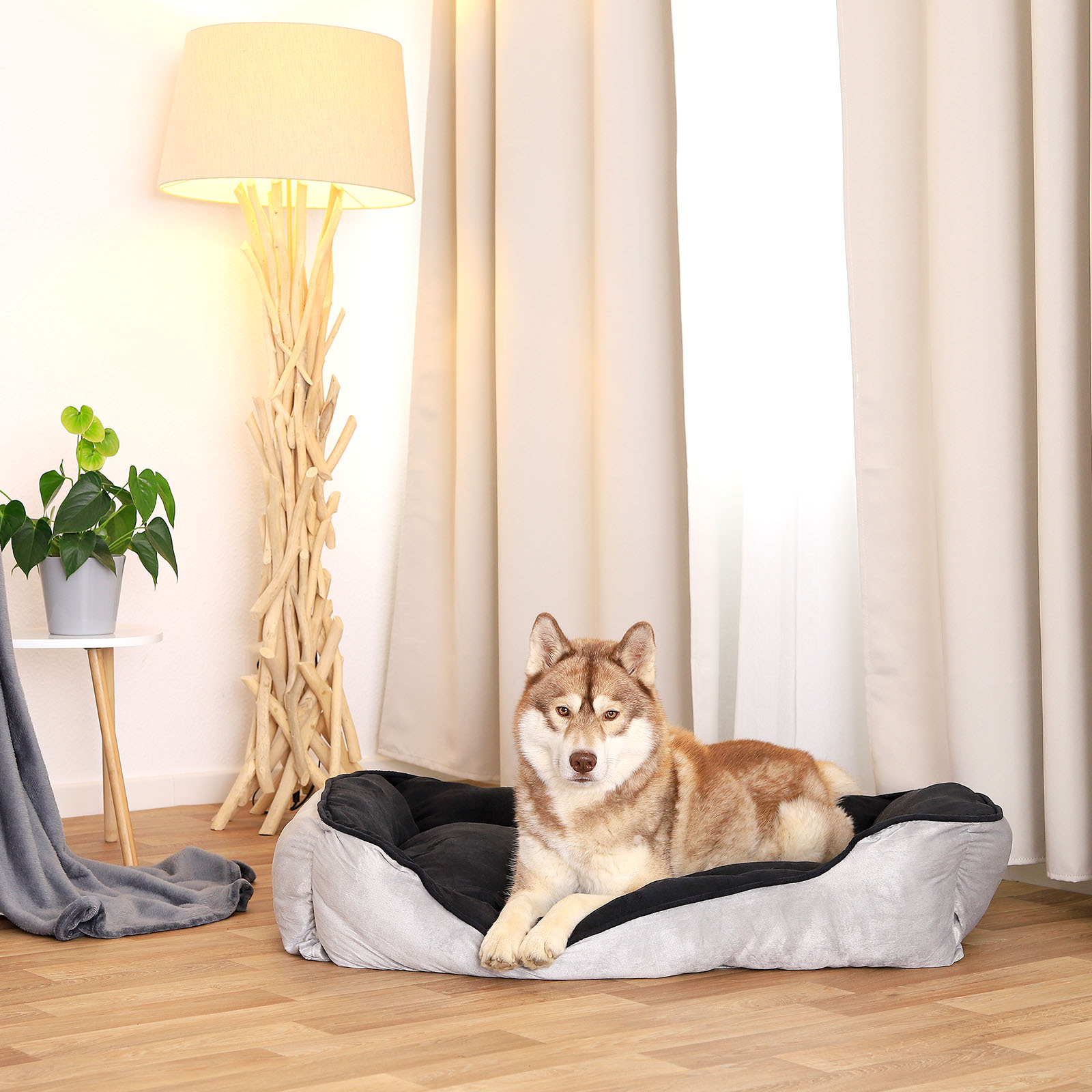 Lionto Hundebetten Lionto 2-in-1 Hundebett Hundekissen L