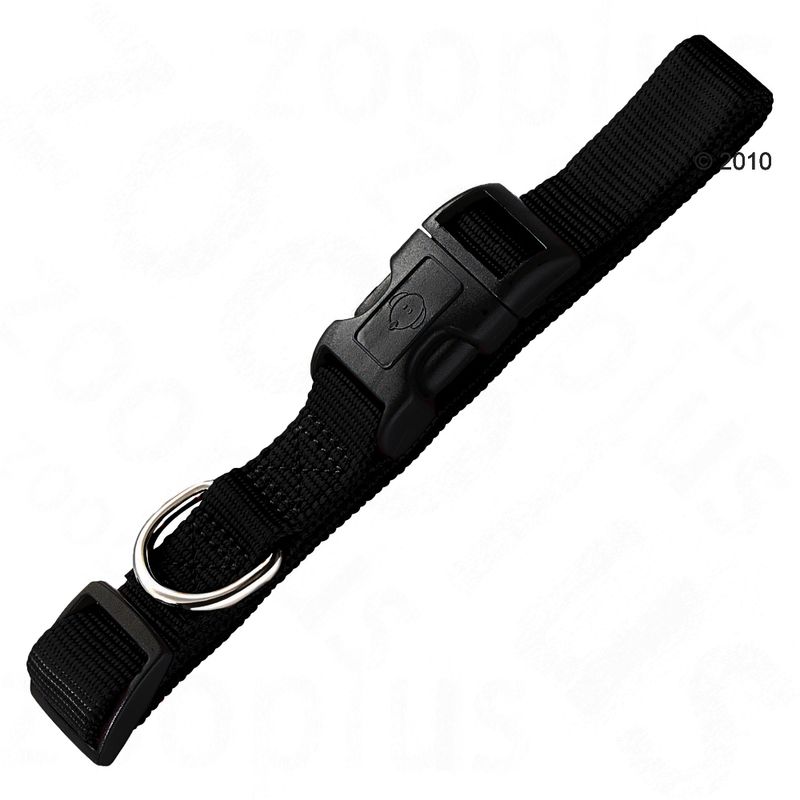 Sparset HUNTER Hundeleine + Halsband Ecco Sport, schwarz | bitiba