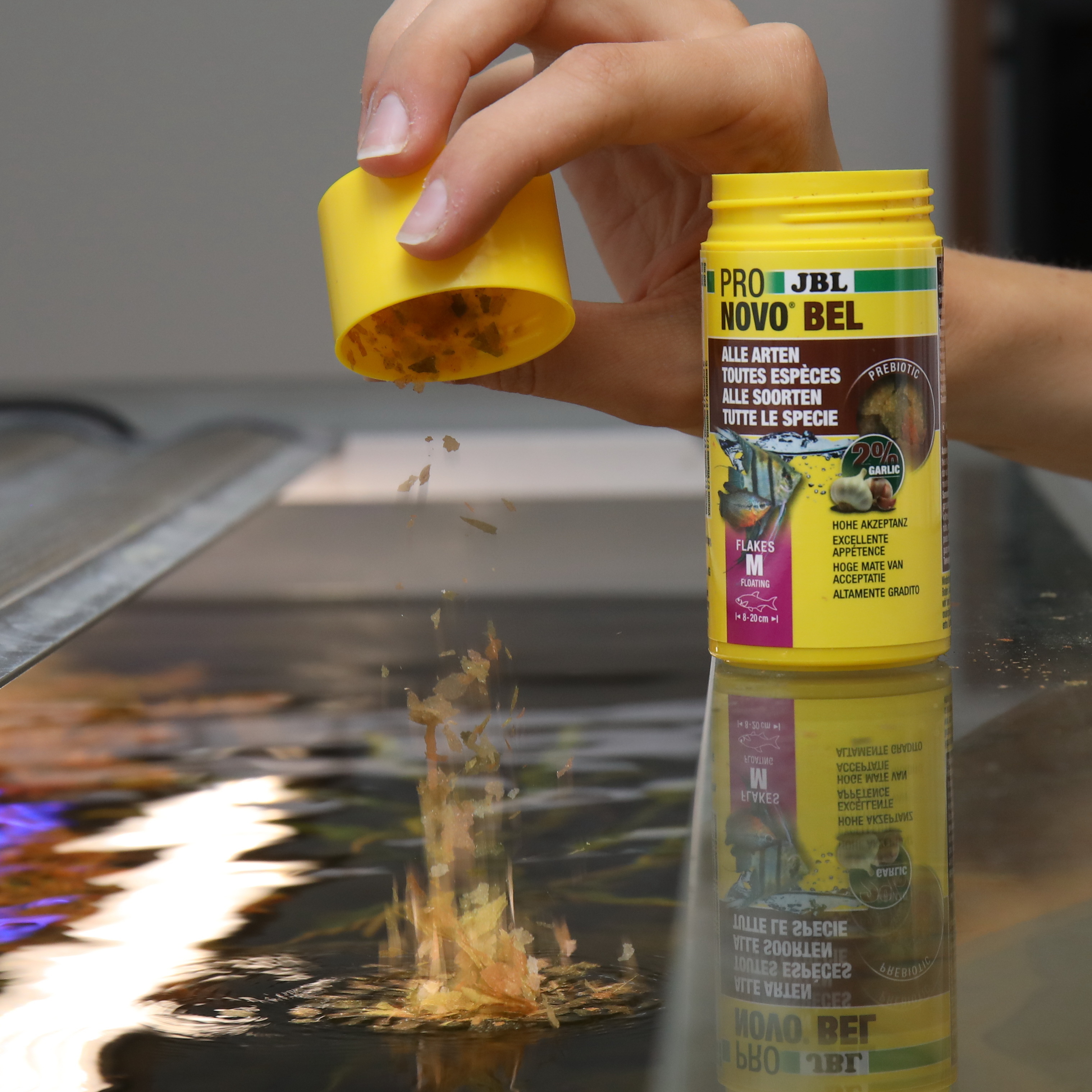 JBL Hauptfutter JBL PRONOVO BEL FLAKES M 100 ml