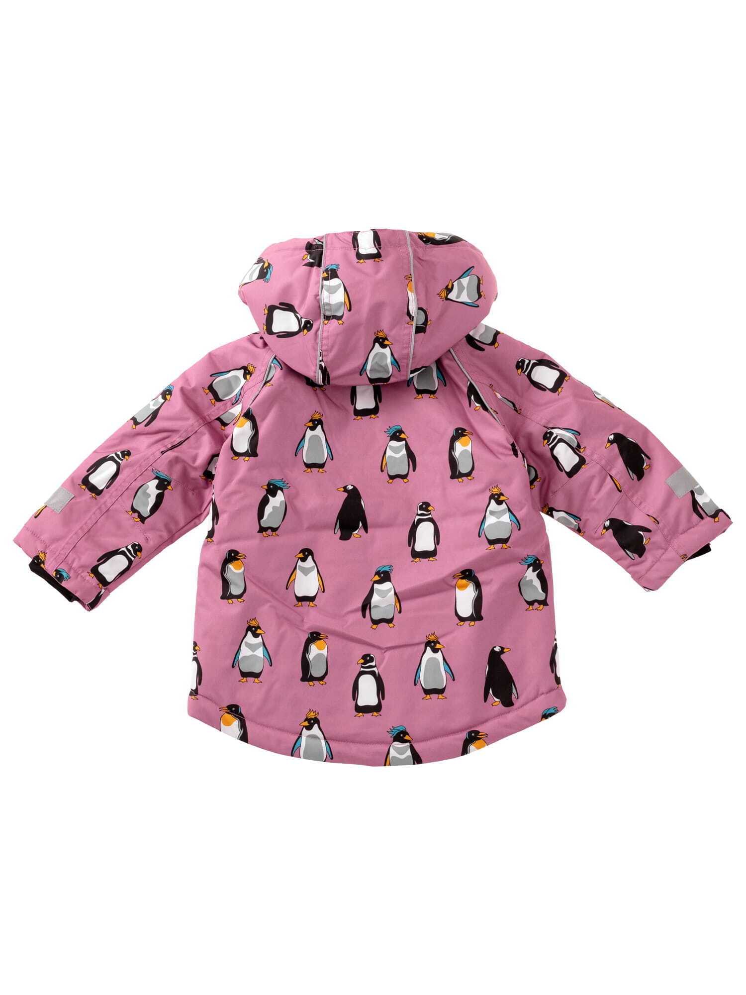 Winter Jacket