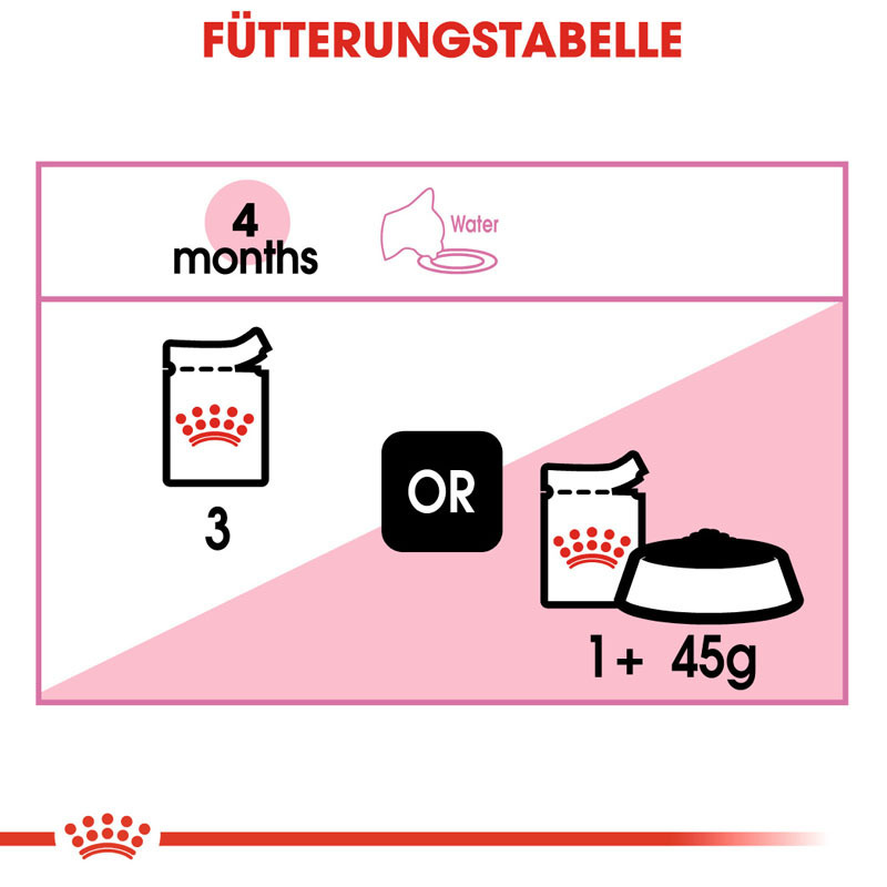 ROYAL CANIN Nassfutter ROYAL CANIN Kitten 12x85g in Soße