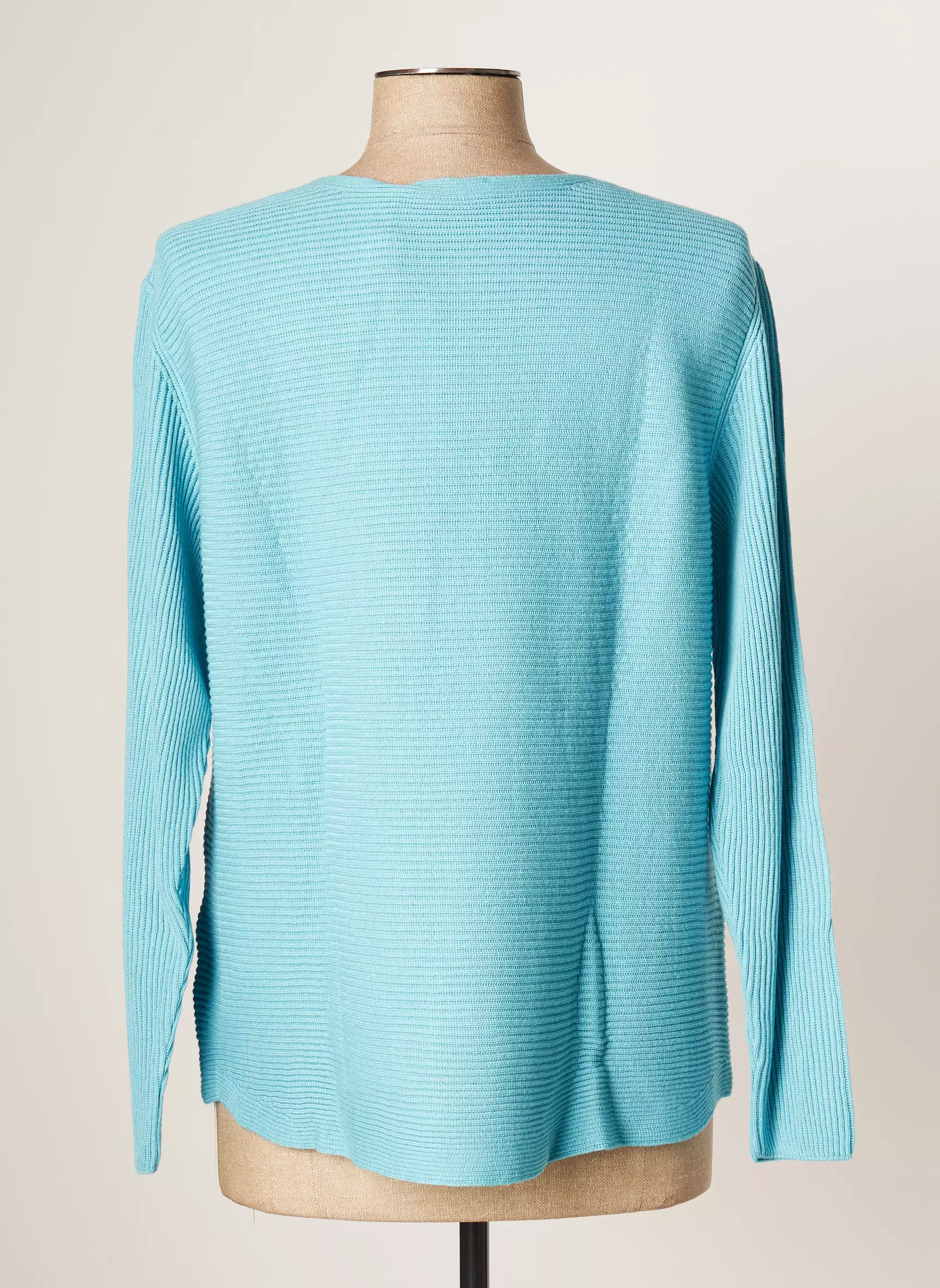 Rabe Pulls Femme couleur bleu