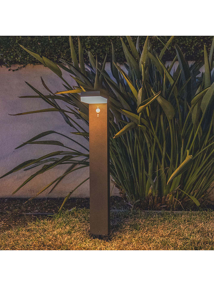 lumisky Solar-Gartenstecker 