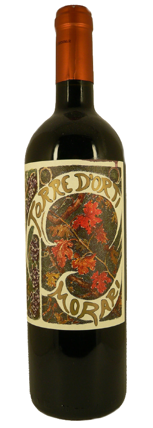 2017 Valpolicella Superiore Morari Magnum